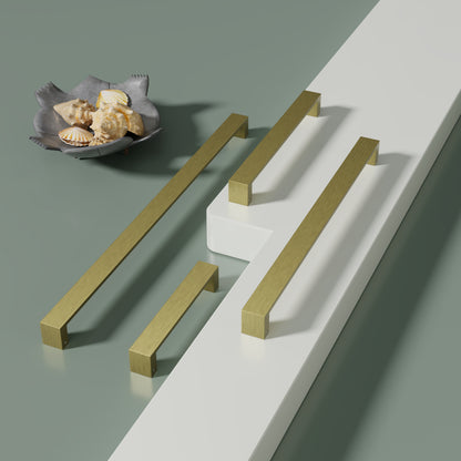 Door handle for main door