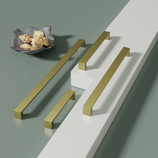 Door handle for main door