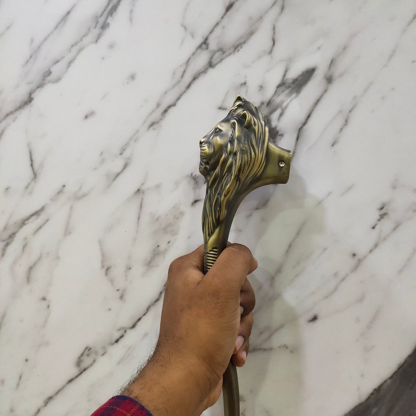 ABVIN Lion Antique Door Handle, Door Pull Entry Door Handle Lion Head Design - 1 Pcs…