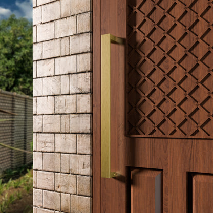 Wooden door with a brass handle on a building exterior.